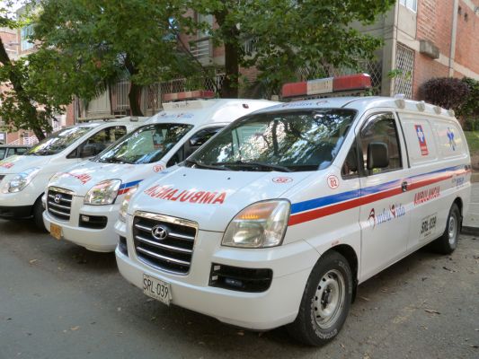 Ambuvida
