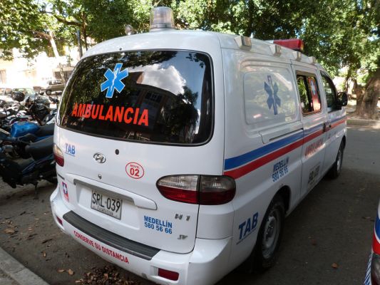 Ambuvida